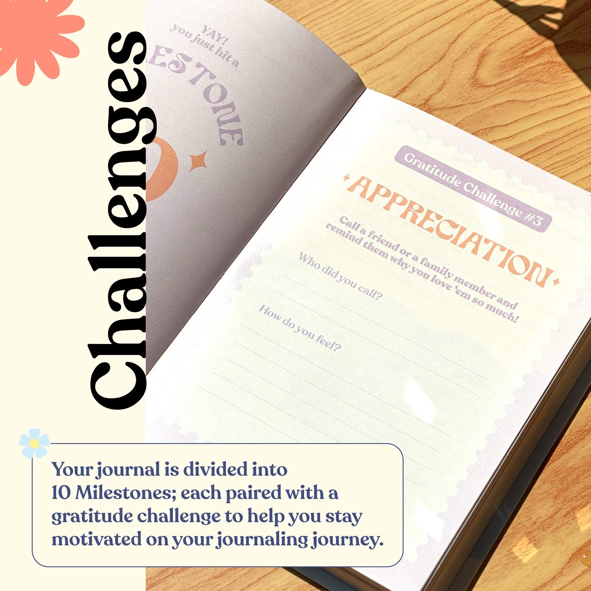 Gratitude Journal | Sunset Garden - Notcoy
