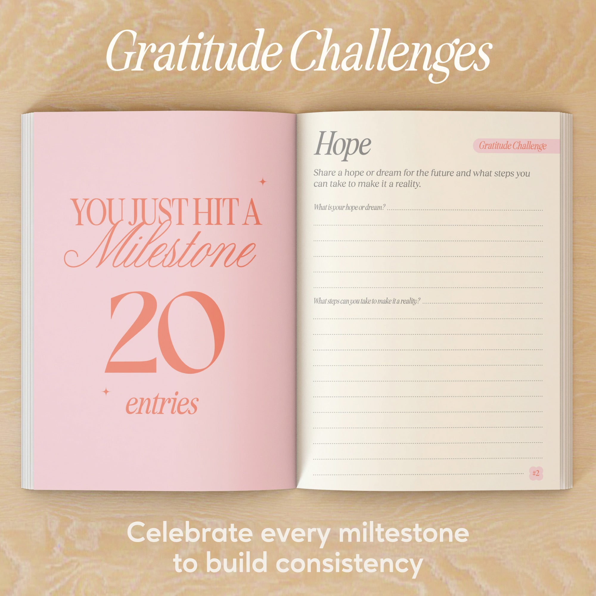 Gratitude Journal | Sunday Stories